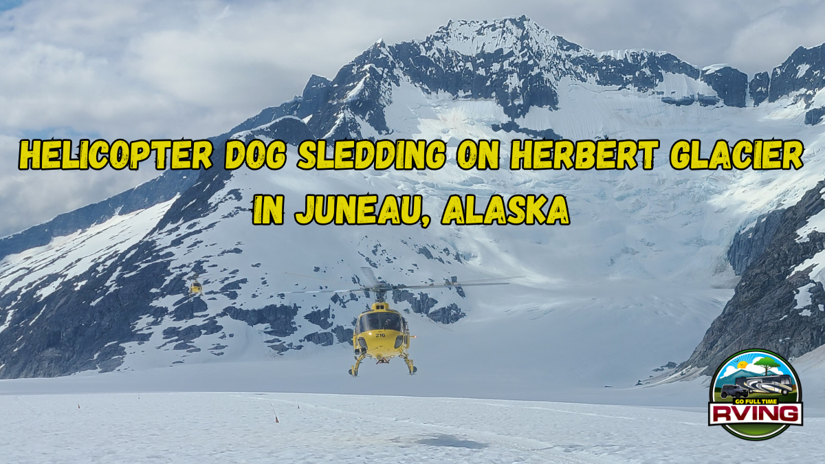 Helicopter Dog Sledding On Herbert Glacier