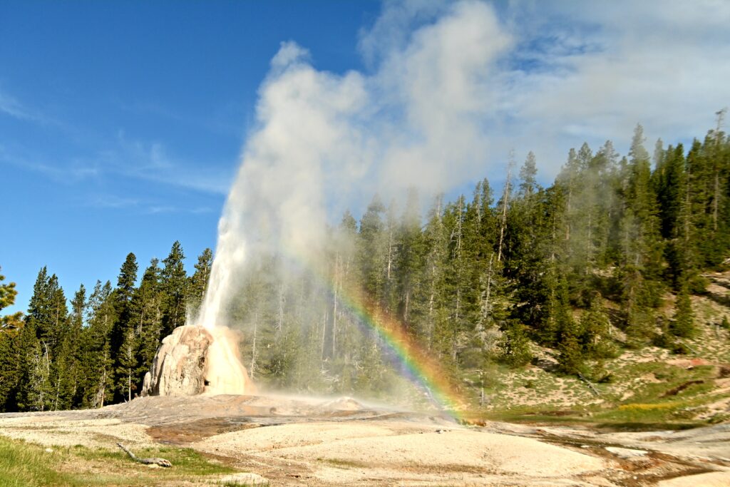 Lone Star Geyser in Yellowstone National Park