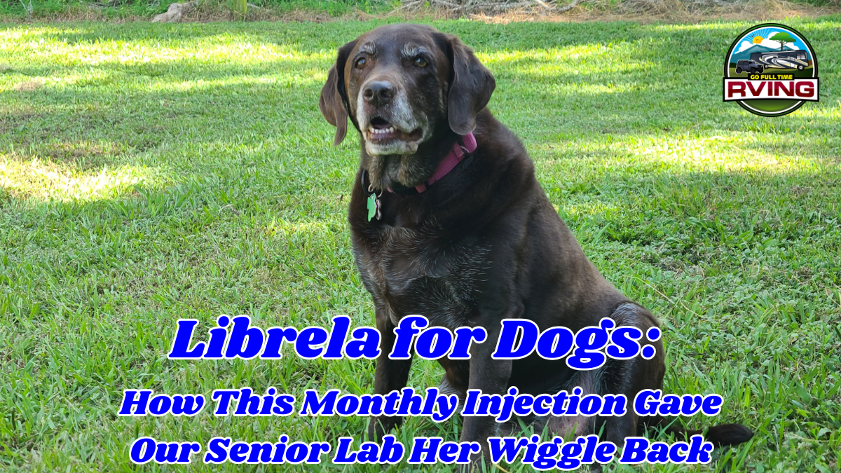 Librela for Dogs