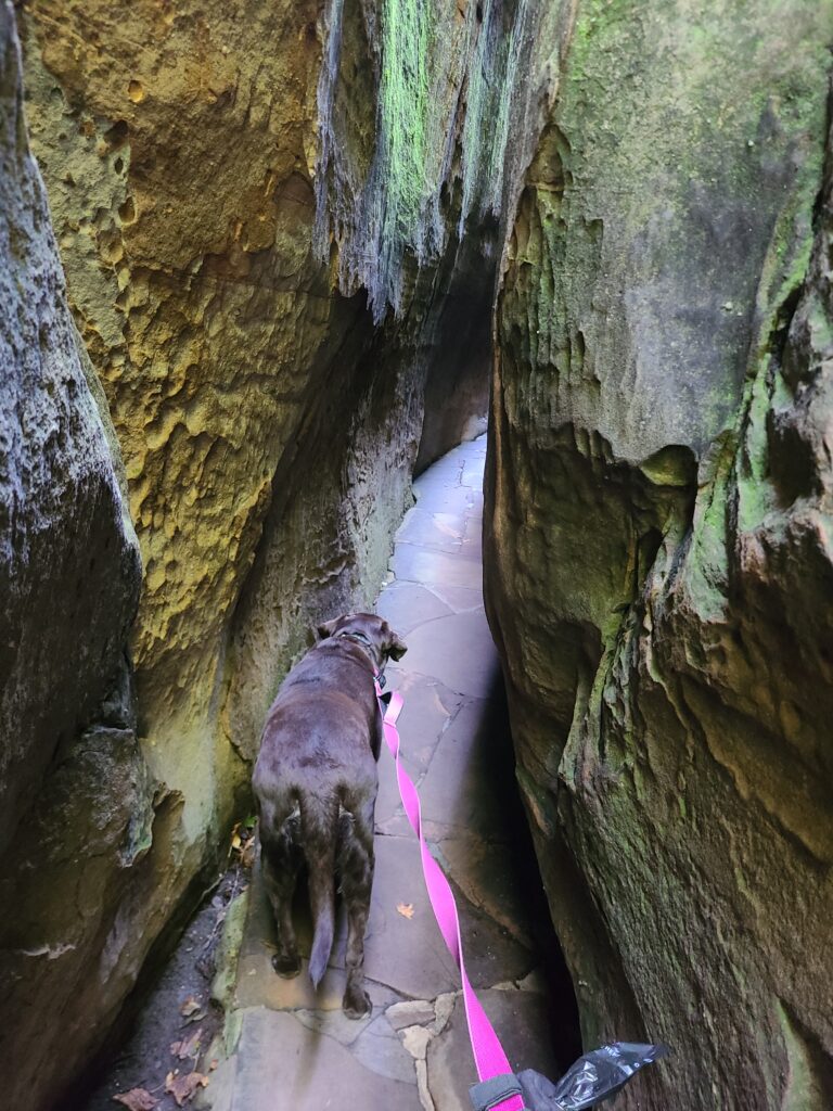 Exploring Rock City