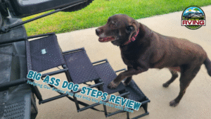 Big Ass Dog Steps Review