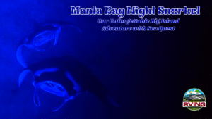 Manta Ray Night Snorkel