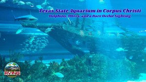 Texas State Aquarium in Corpus Christi