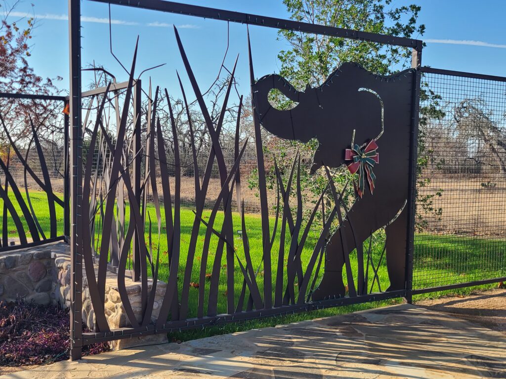 Elephant Experience at The Preserve