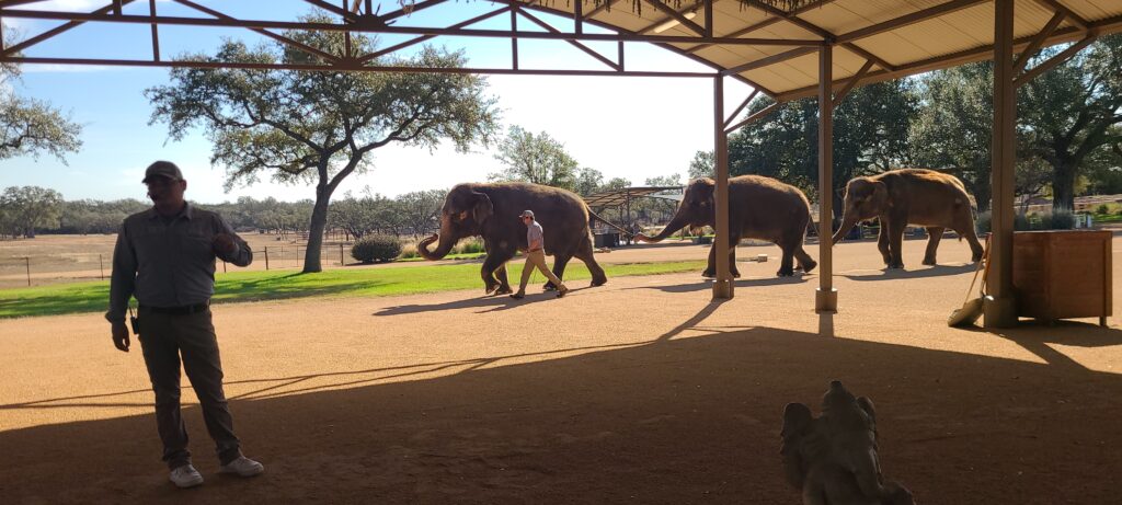 Elephant Experience at The Preserve