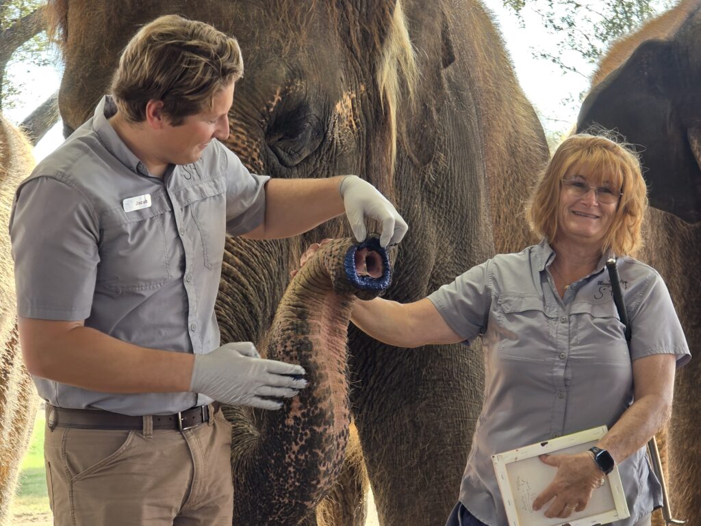 Elephant Experience at The Preserve