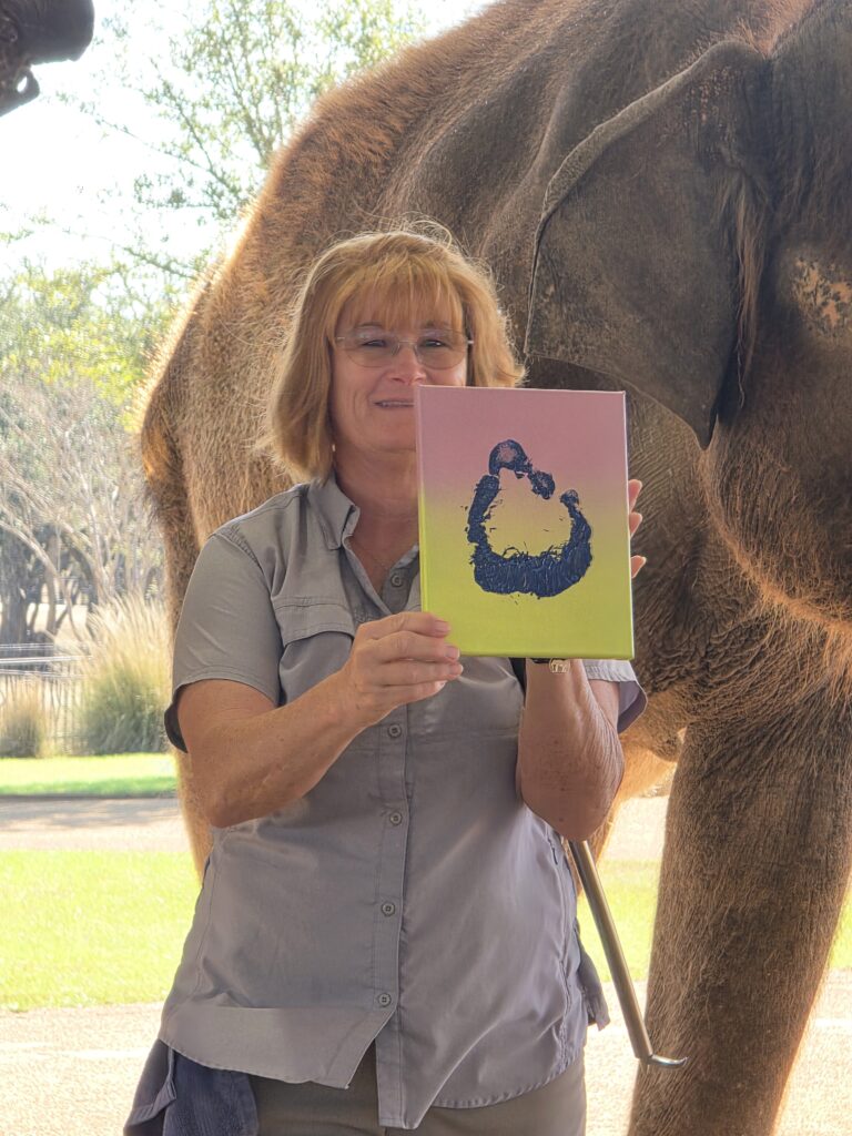 Elephant Experience at The Preserve