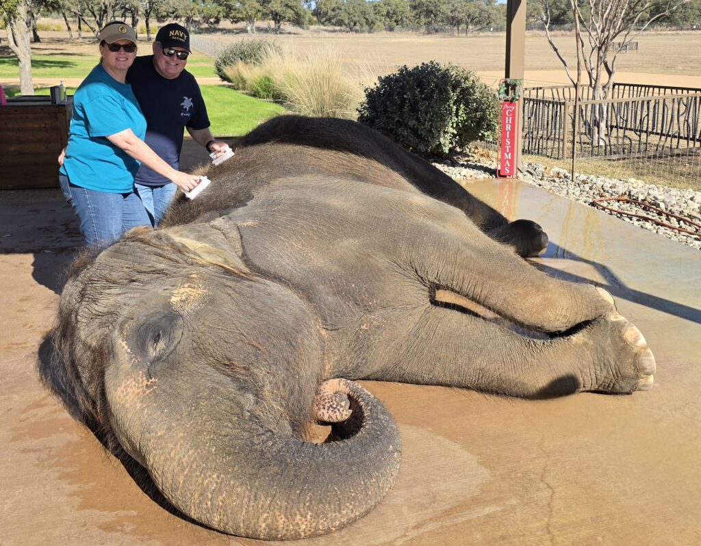 Elephant Experience at The Preserve