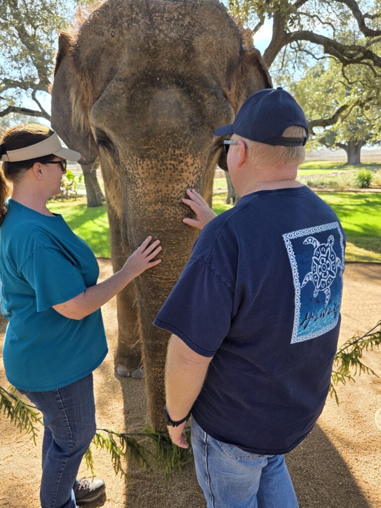 Elephant Experience at The Preserve
