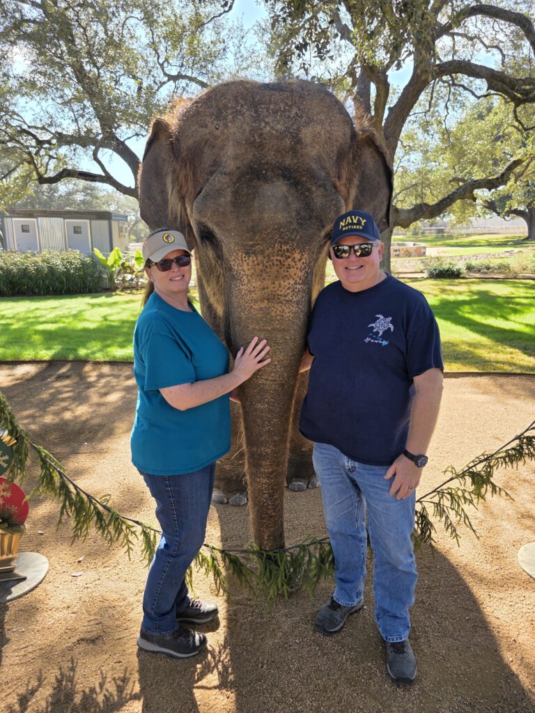 Elephant Experience at The Preserve