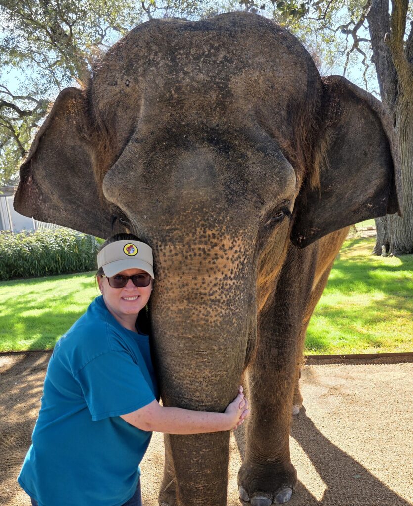 Elephant Experience at The Preserve