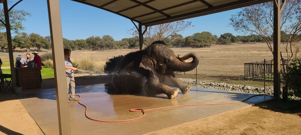 Elephant Experience at The Preserve
