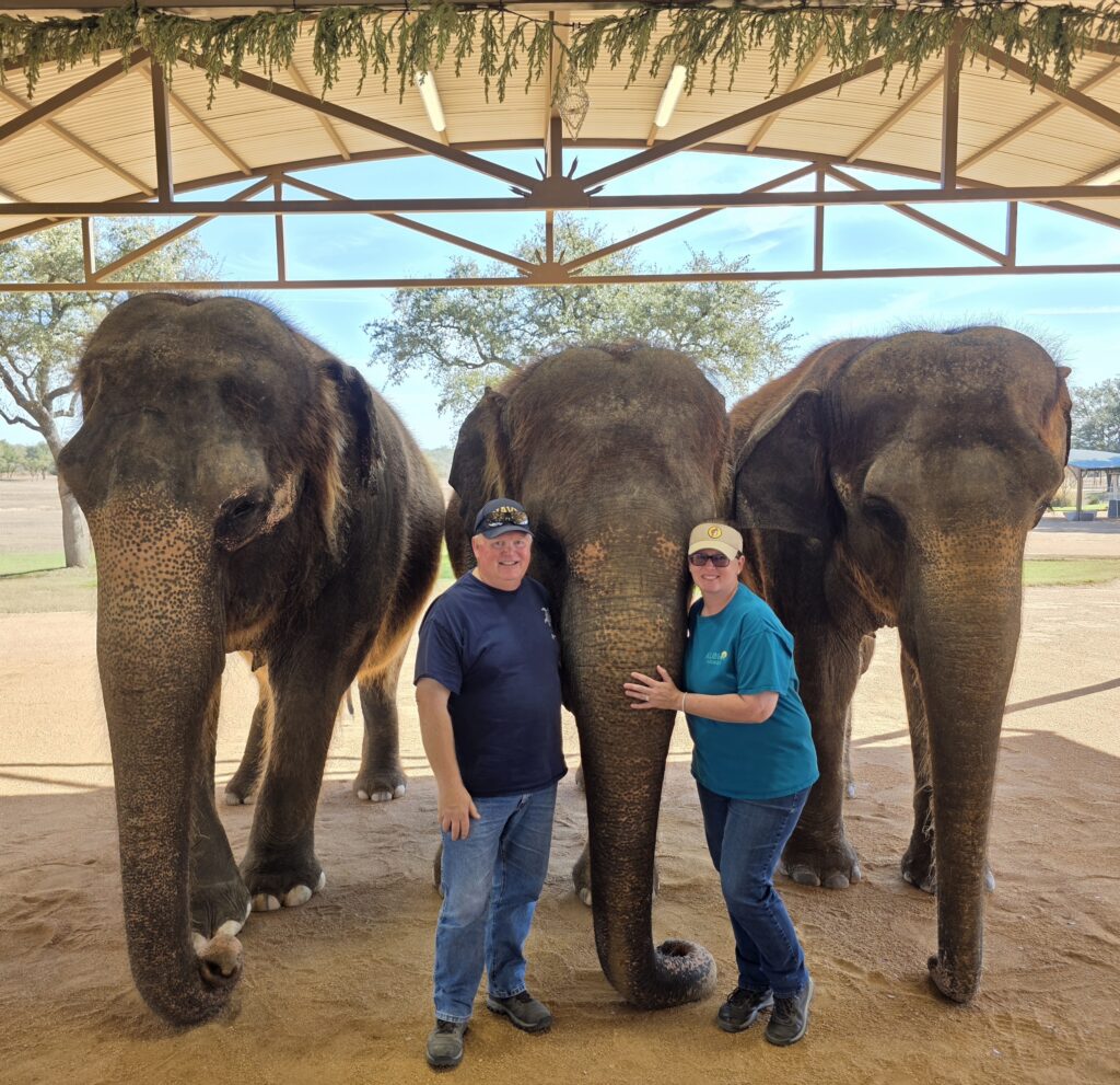 Elephant Experience at The Preserve