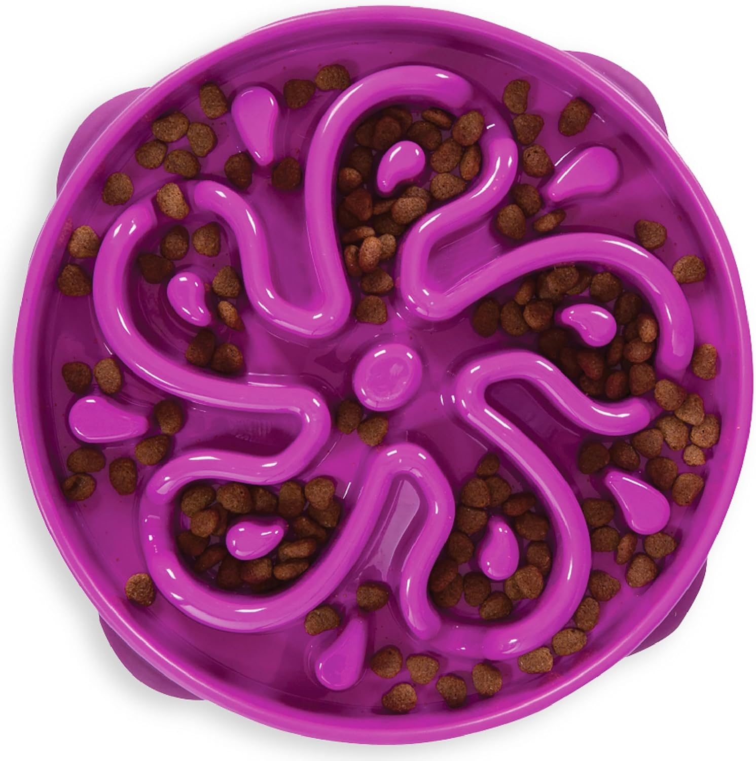 Outward Hound Fun Feeder slow bowl for dogs