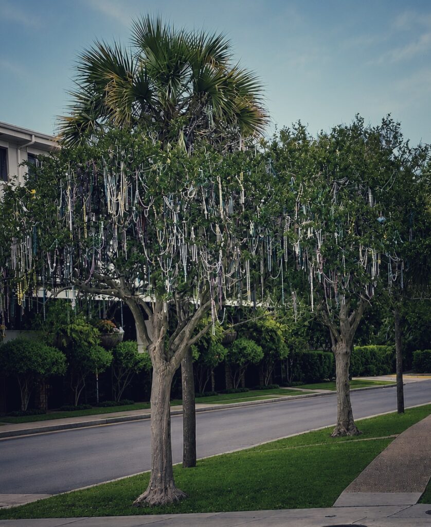 New Orleans Bead Filled Trees