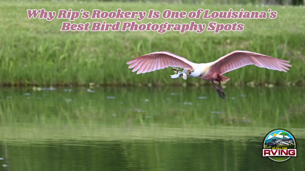 Rip's Rookery