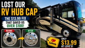 Ford F53 Hub Cap
