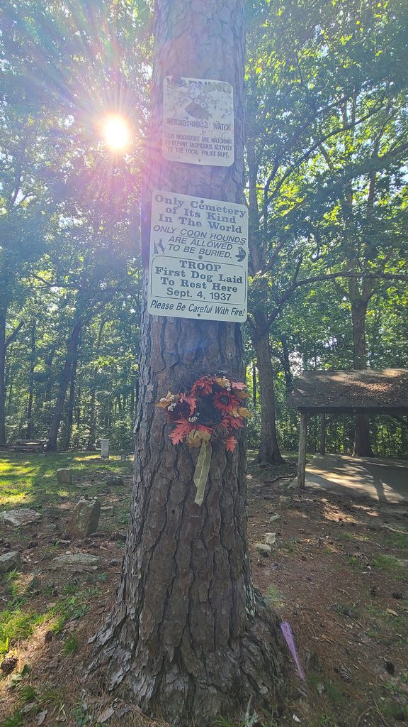 Coon Dog Cemetery. The only cemetery of it's kind in the world. 