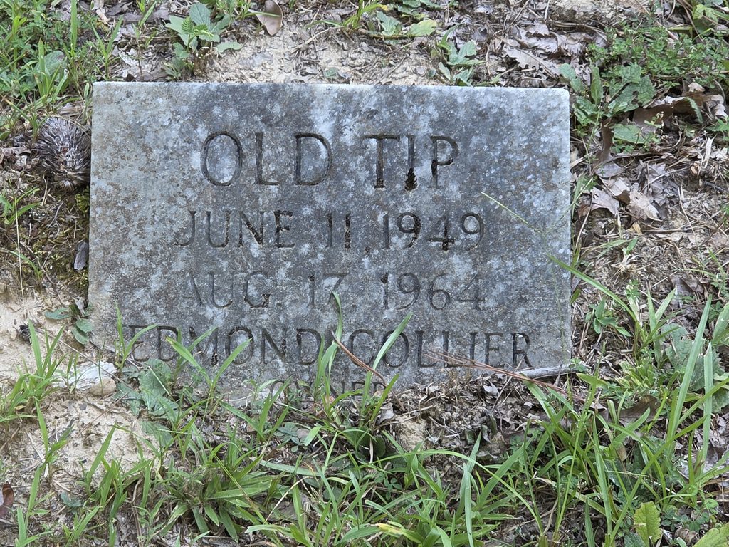 Coon Dog Cemetery grave markers
