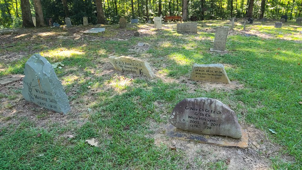 Coon Dog Cemetery grave markers