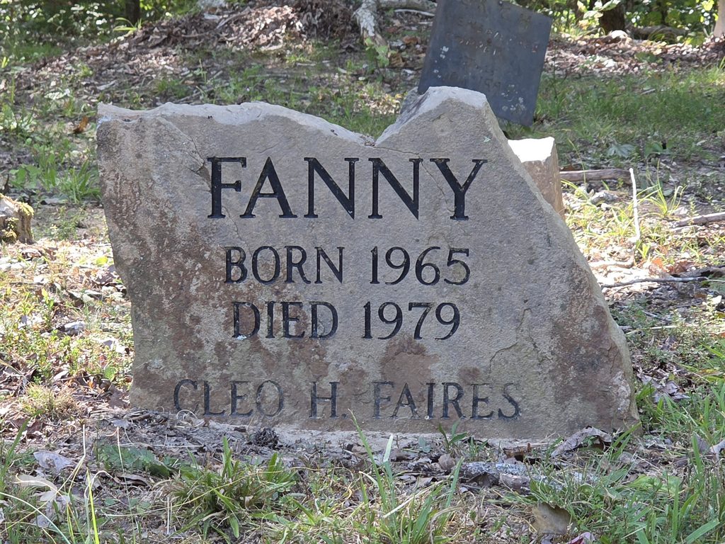 Coon Dog Cemetery grave markers