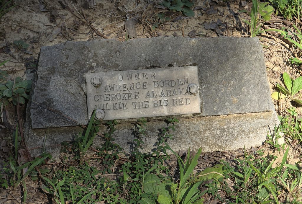 Coon Dog Cemetery grave markers