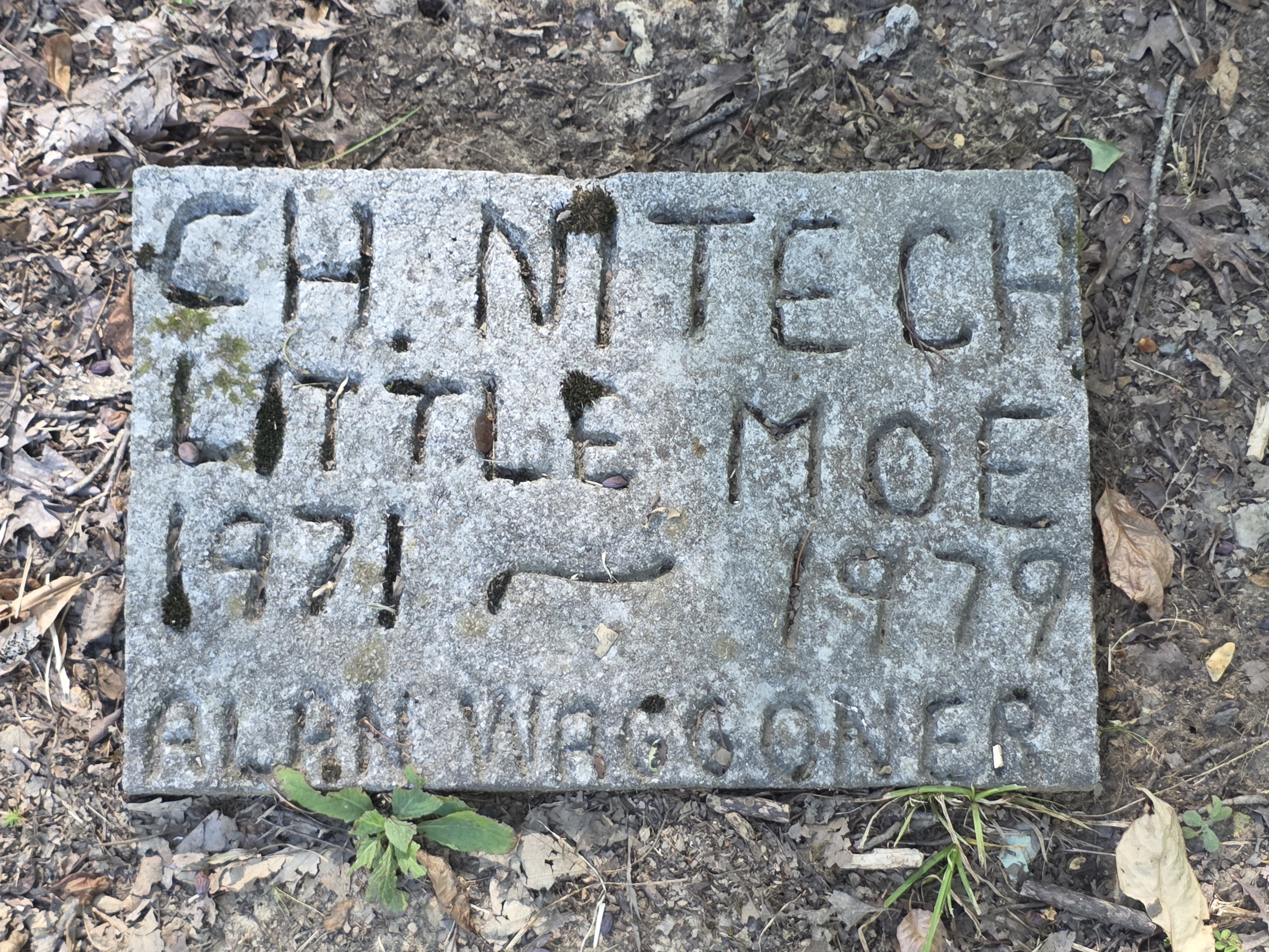 Coon Dog Cemetery grave markers