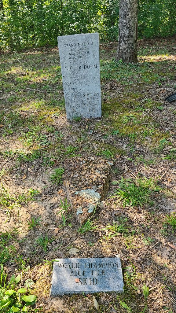 Coon Dog Cemetery grave markers