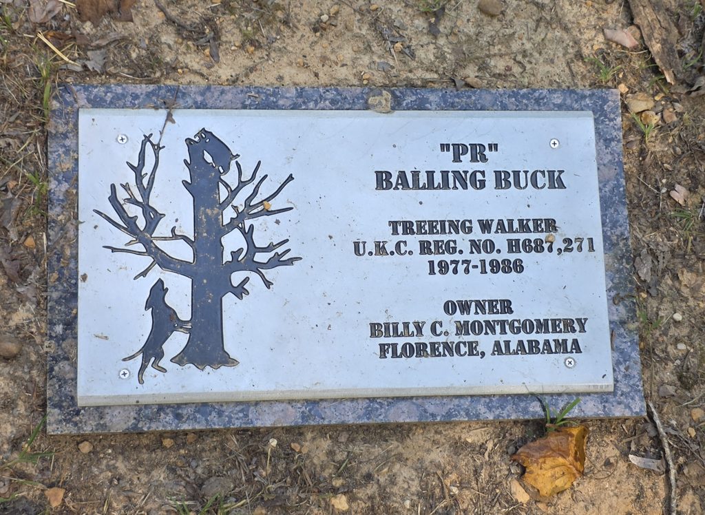 Coon Dog Cemetery grave markers