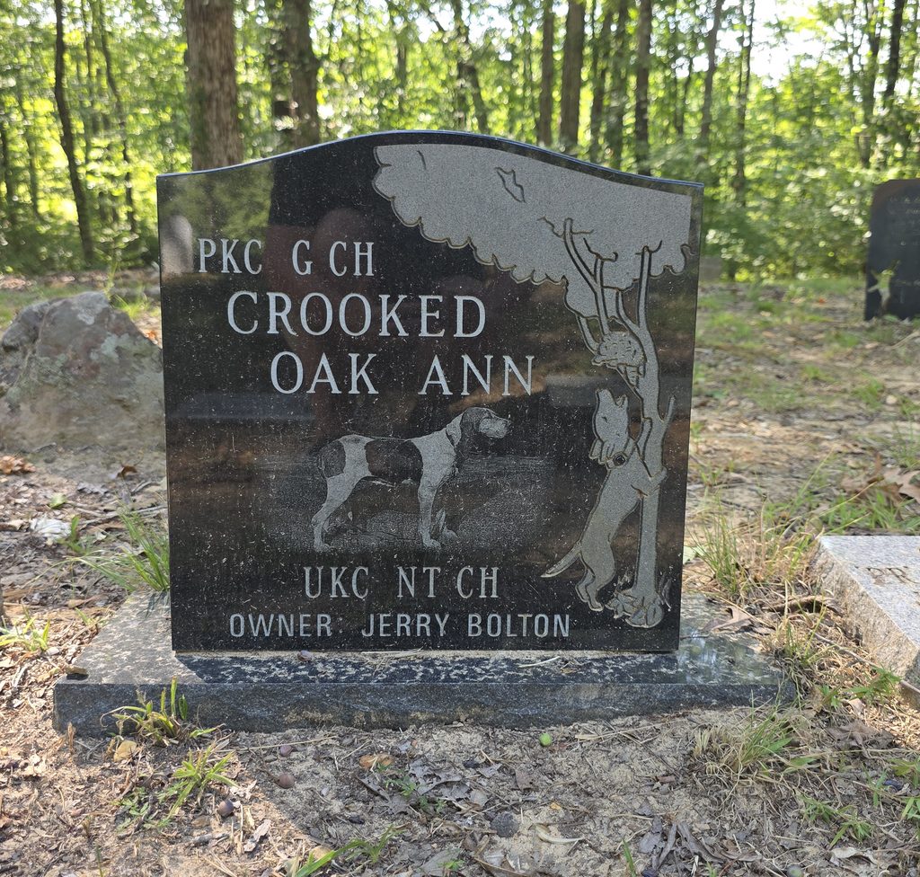 Coon Dog Cemetery grave markers