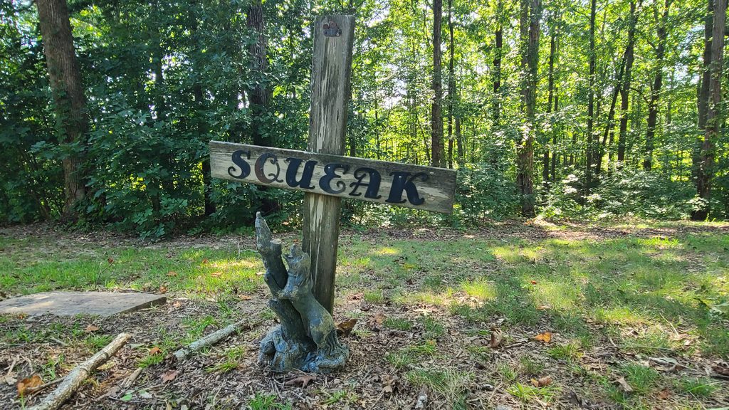 Coon Dog Cemetery grave markers