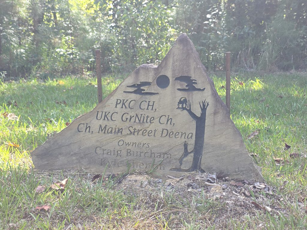 Coon Dog Cemetery grave markers