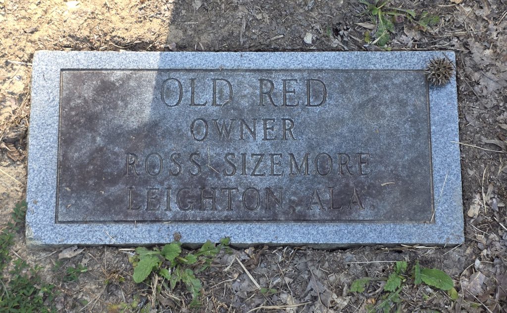Coon Dog Cemetery grave markers